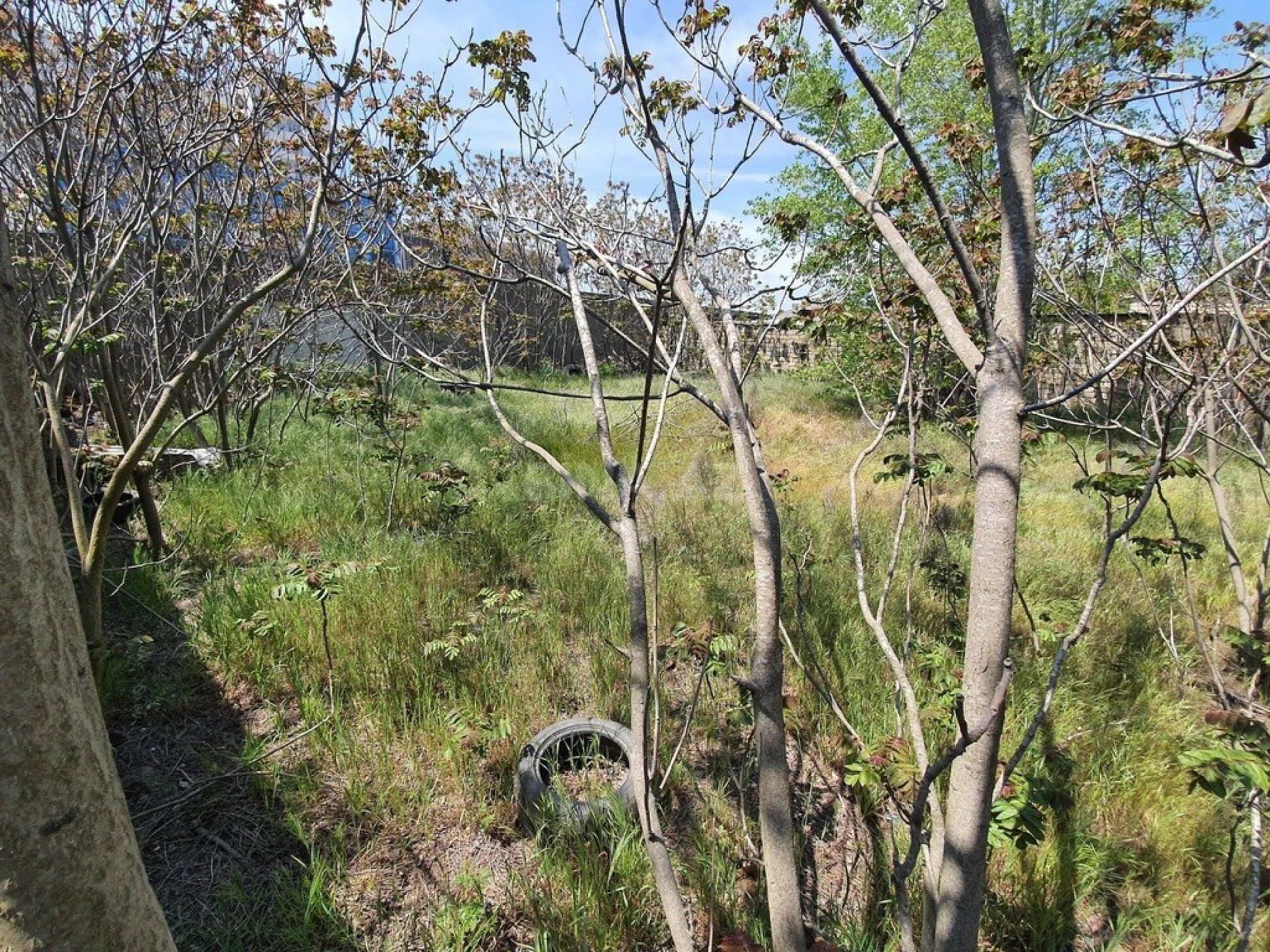 Satılır torpaq sahəsi 7 m²