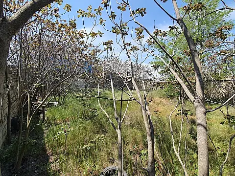 Satılır torpaq sahəsi 7 m² — Bakı, Yasamal qəs. 7.00 m²