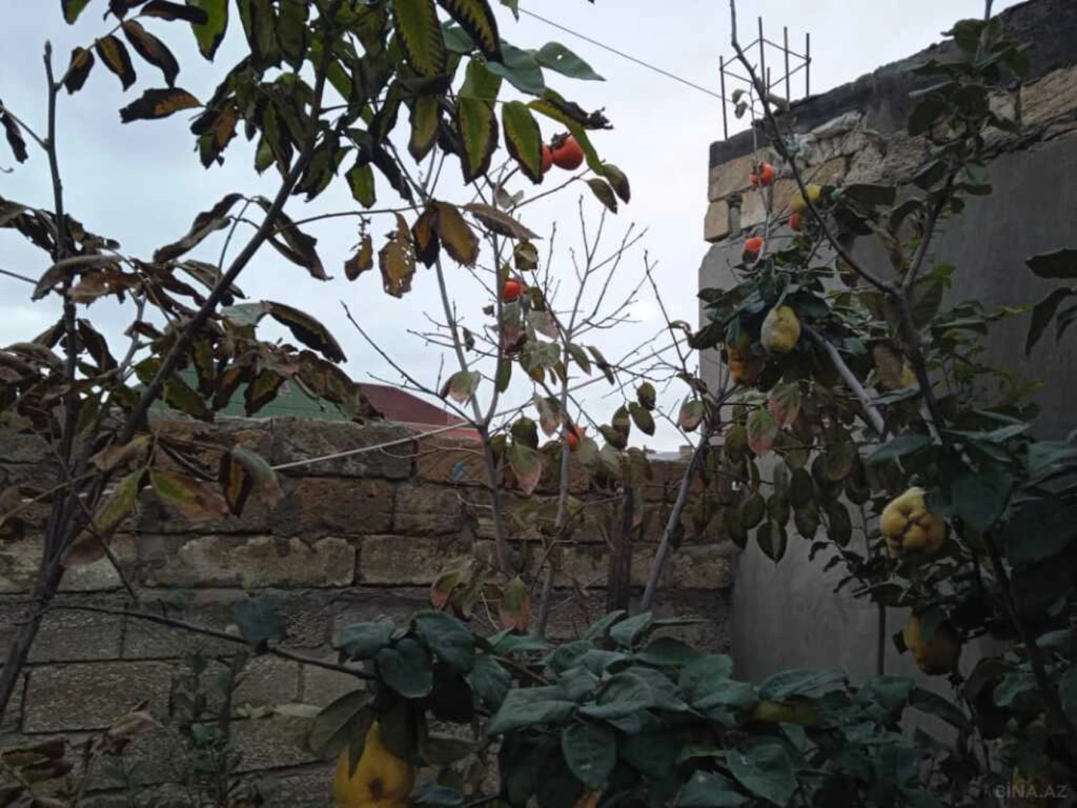 Satılır 5 otaqlı həyət evi 240 m²