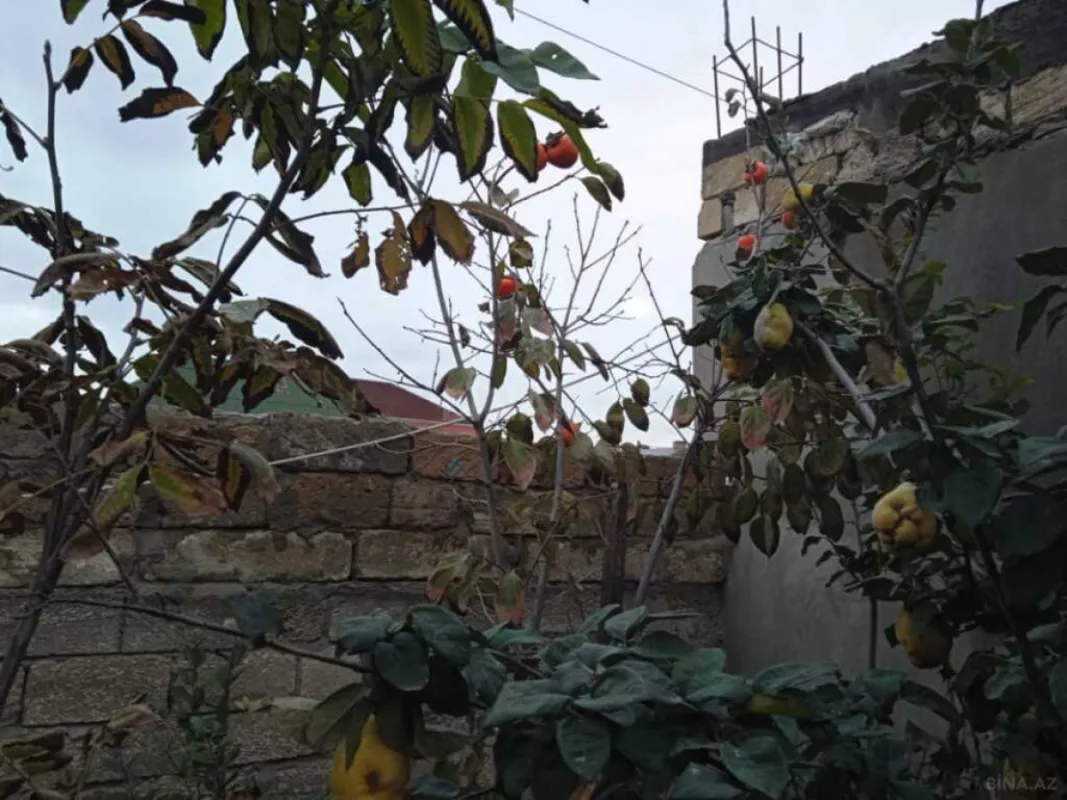 Satılır 5 otaqlı həyət evi 240 m²