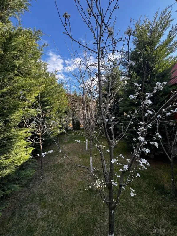 Satılır 5 otaqlı həyət evi 200 m²