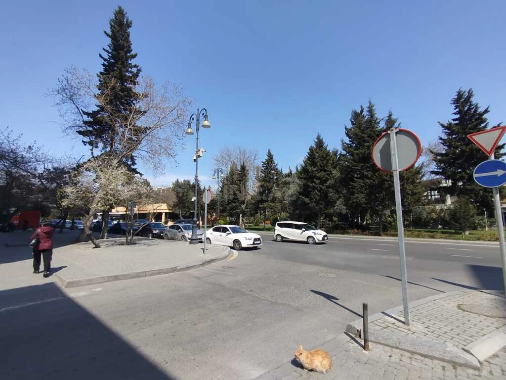 Satılır obyekt 260 m²