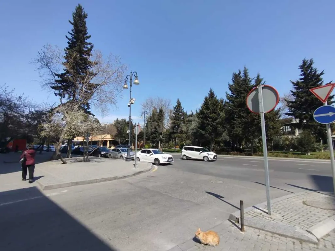 Satılır obyekt 260 m²