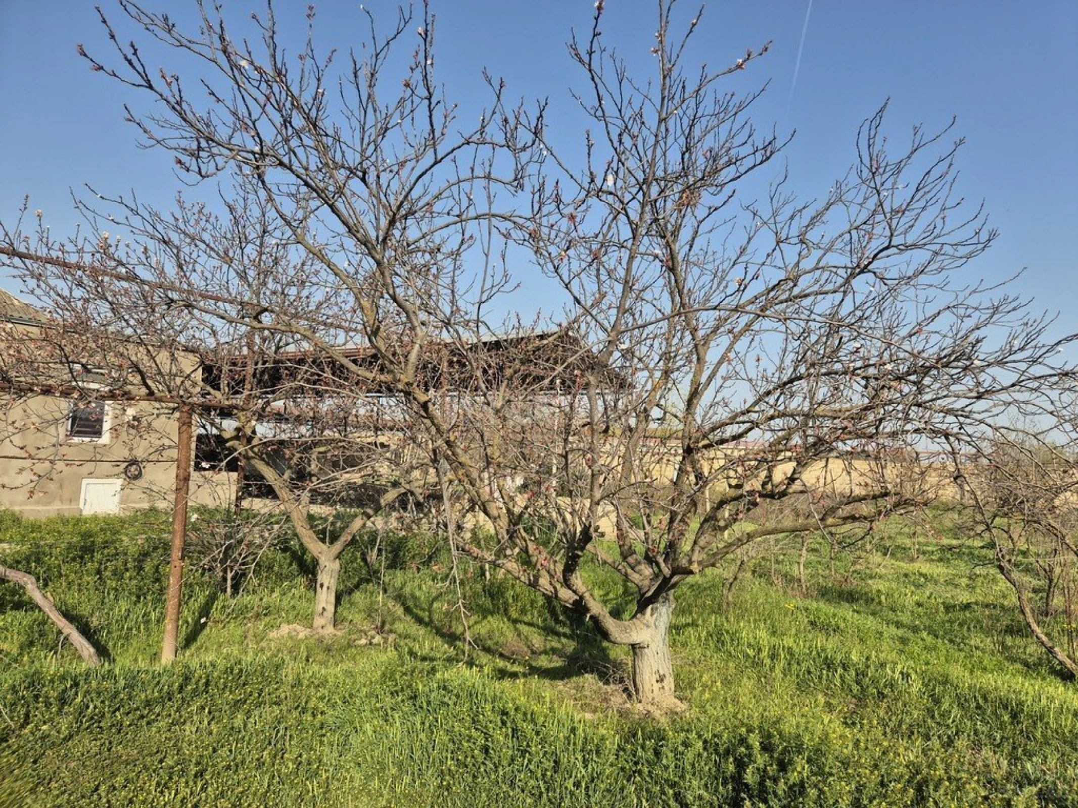 Satılır 3 otaqlı həyət evi 170 m²