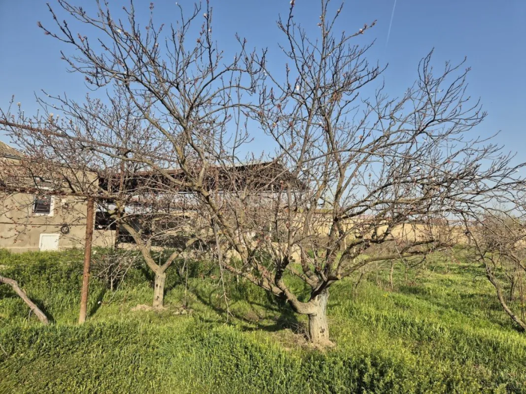 Satılır 3 otaqlı həyət evi 170 m²