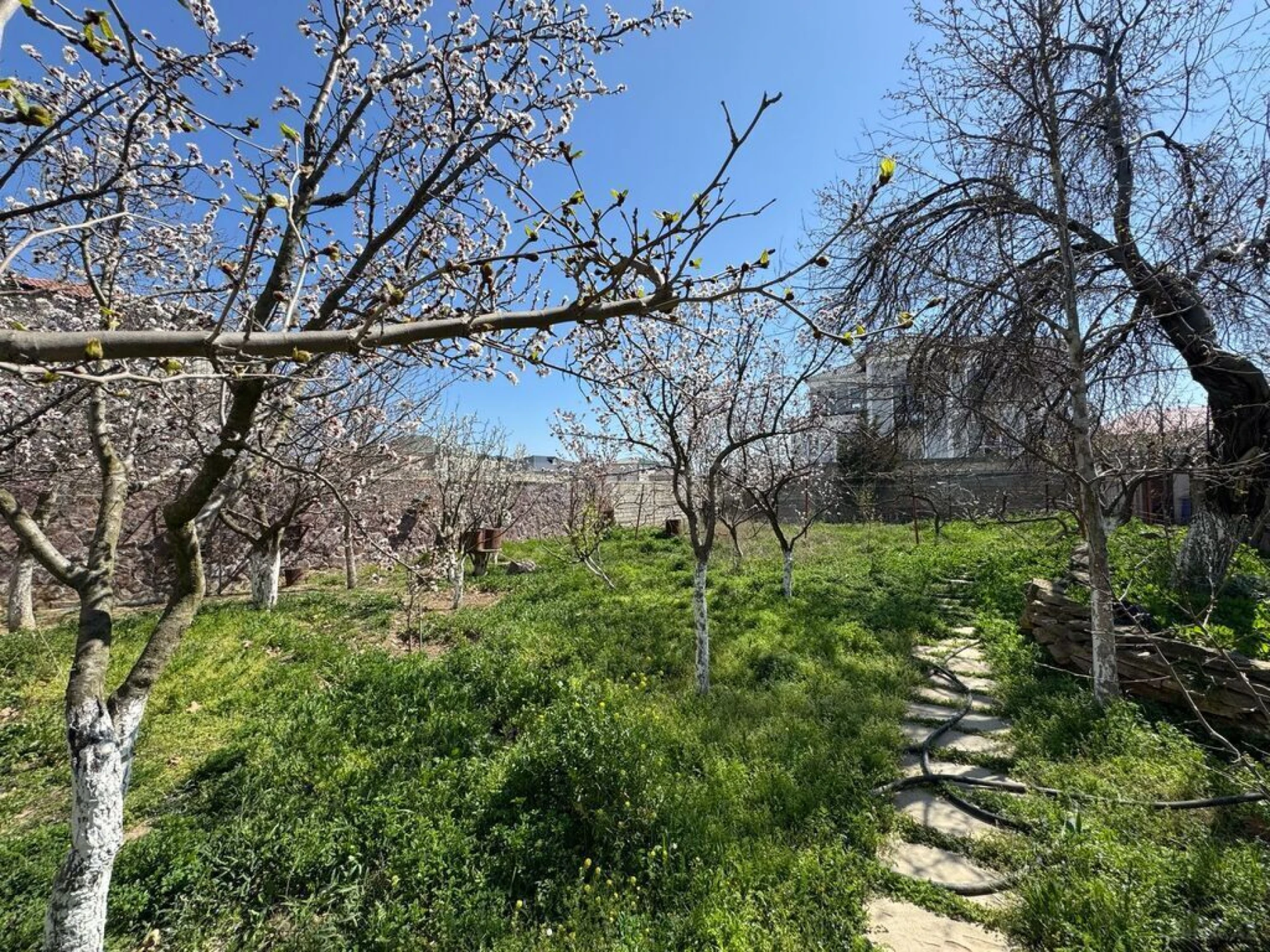 Satılır 7 otaqlı həyət evi 600 m²