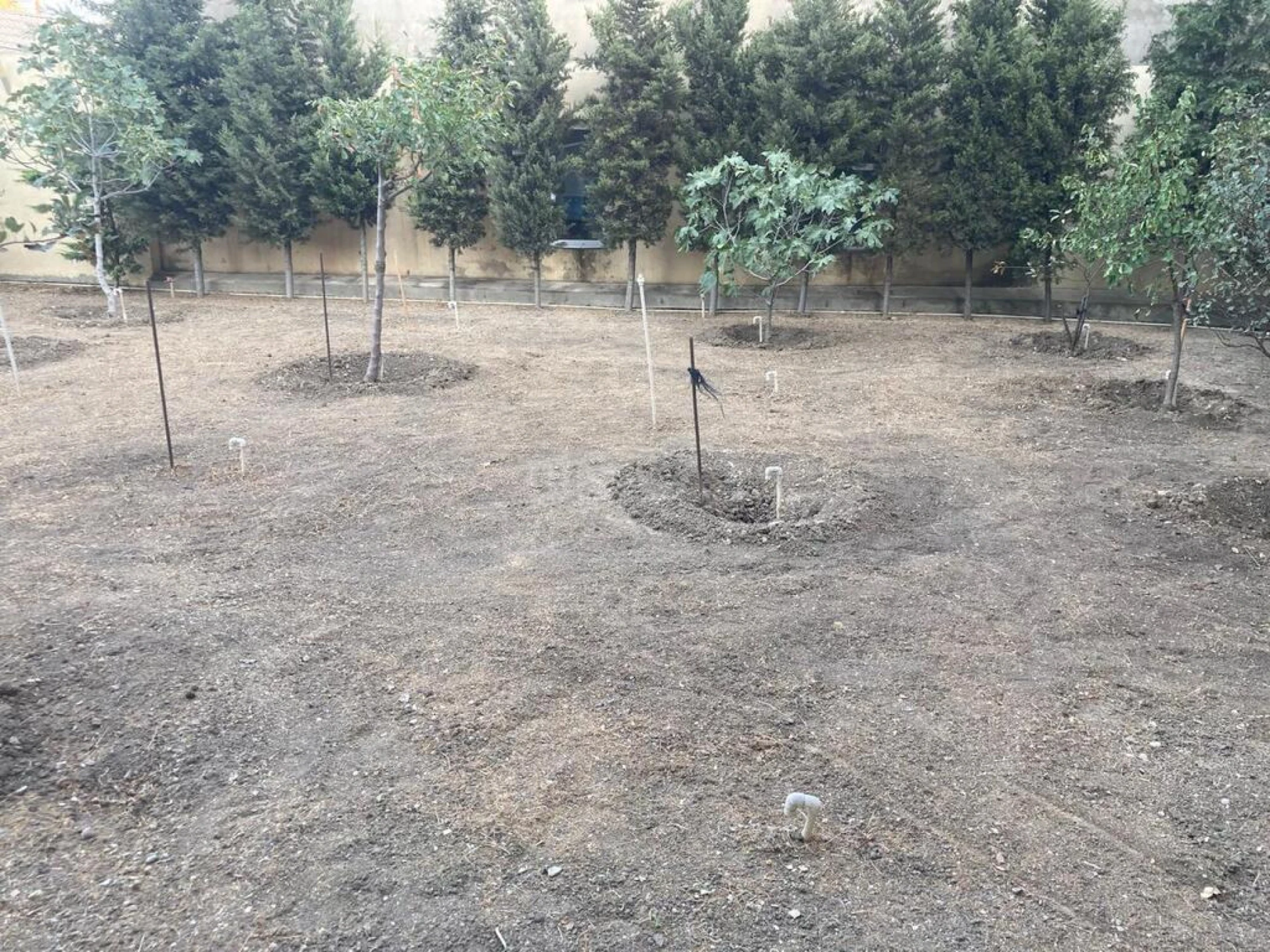 Satılır 5 otaqlı həyət evi 330 m²