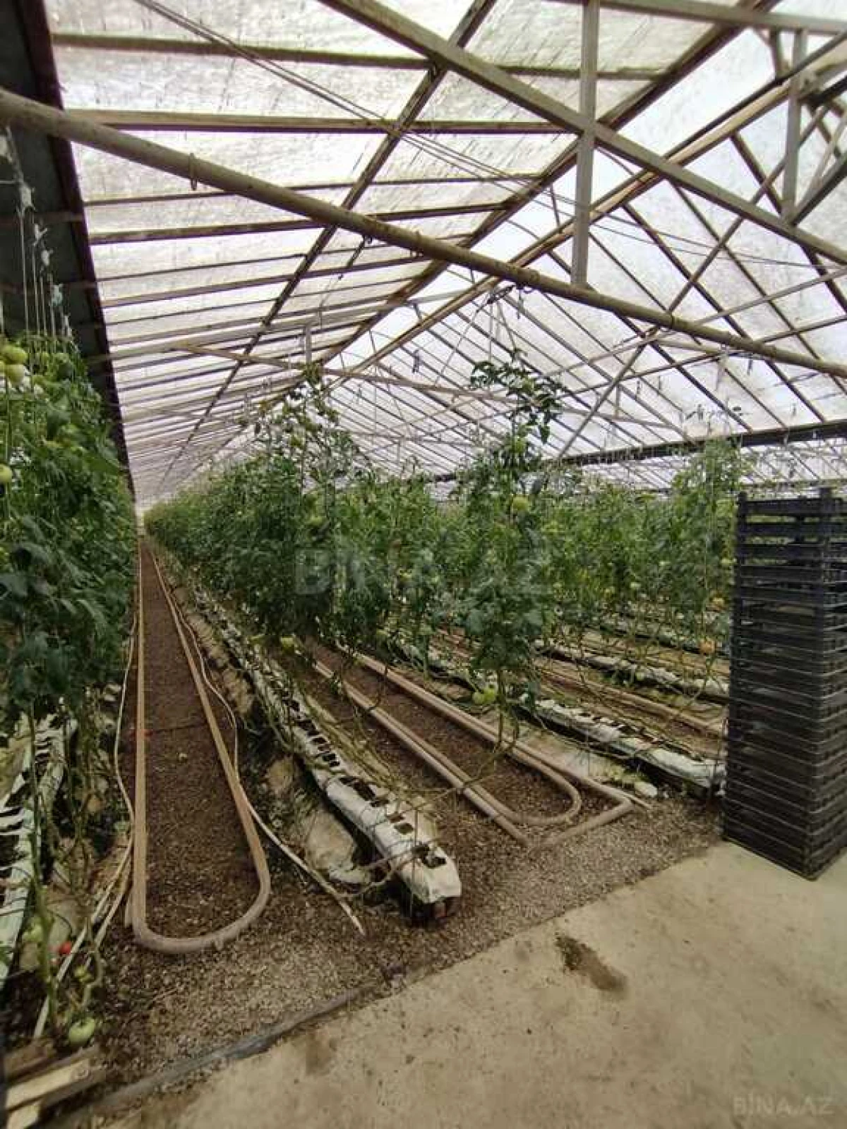 Satılır obyekt 220000 m²