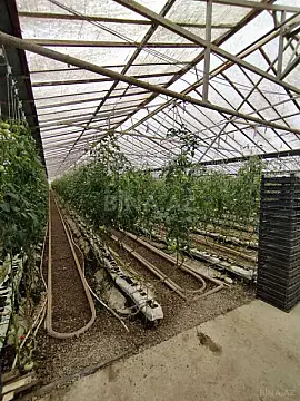 Satılır obyekt 220000 m²