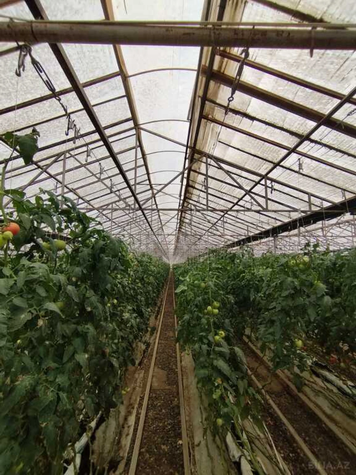 Satılır obyekt 220000 m²