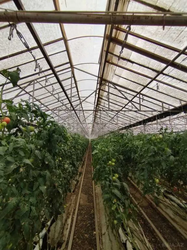 Satılır obyekt 220000 m²