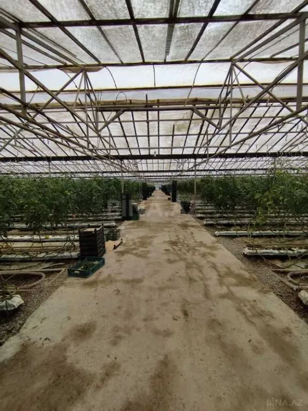 Satılır obyekt 220000 m²