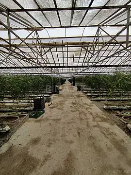 Satılır obyekt 220000 m²