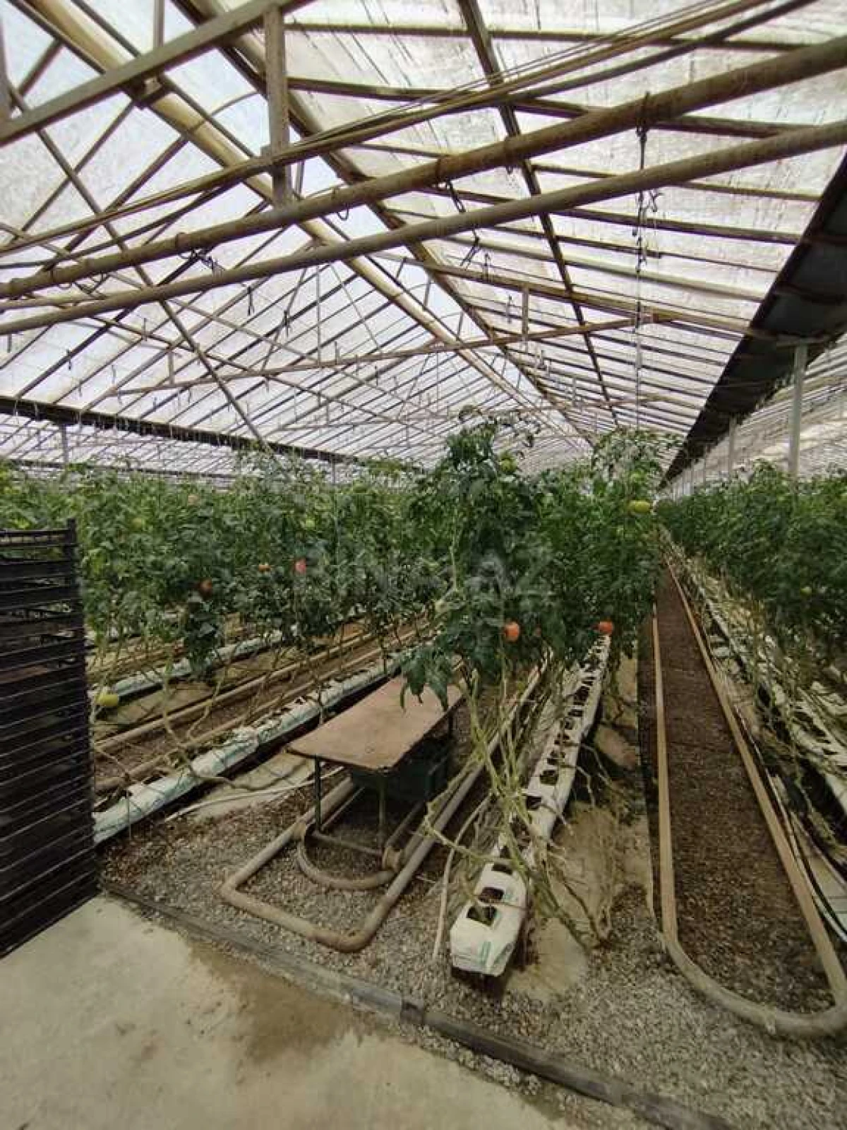 Satılır obyekt 220000 m²