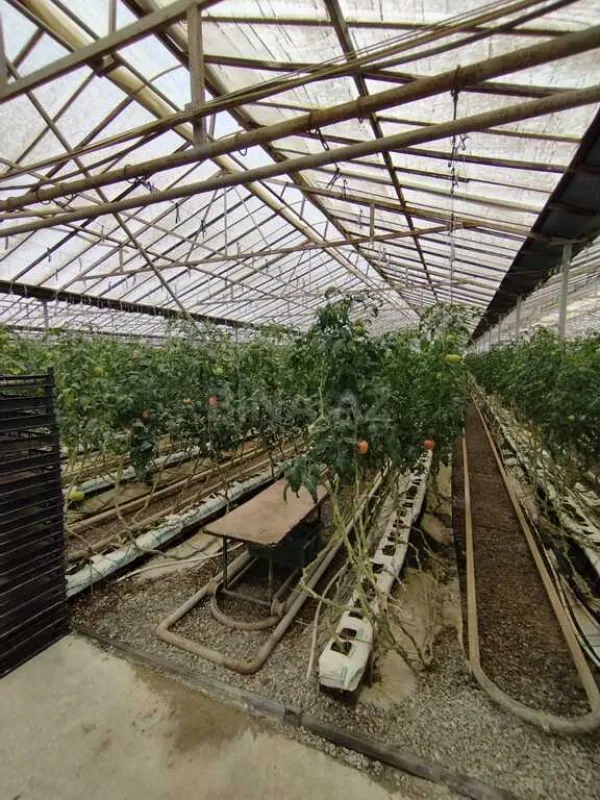 Satılır obyekt 220000 m²