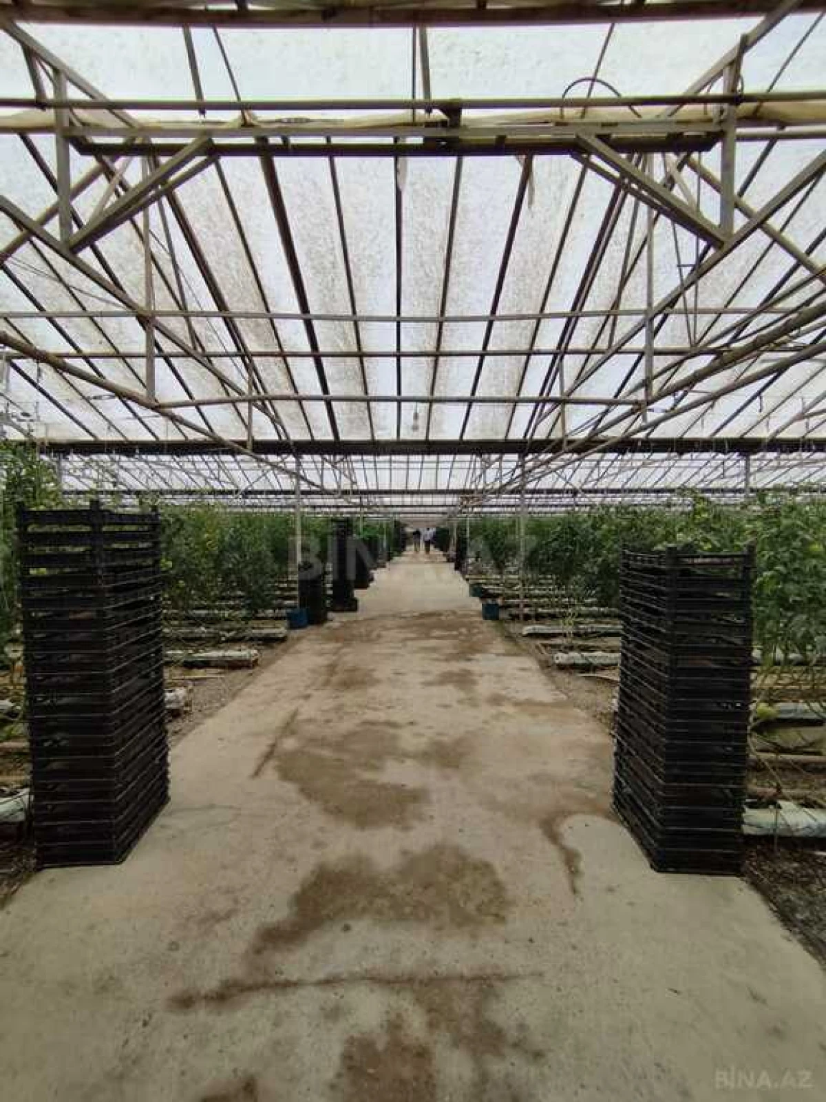 Satılır obyekt 220000 m²