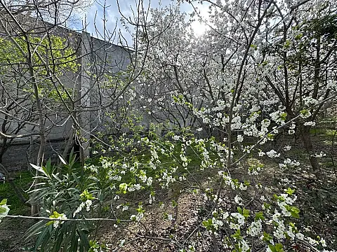 Satılır torpaq sahəsi 40 m²