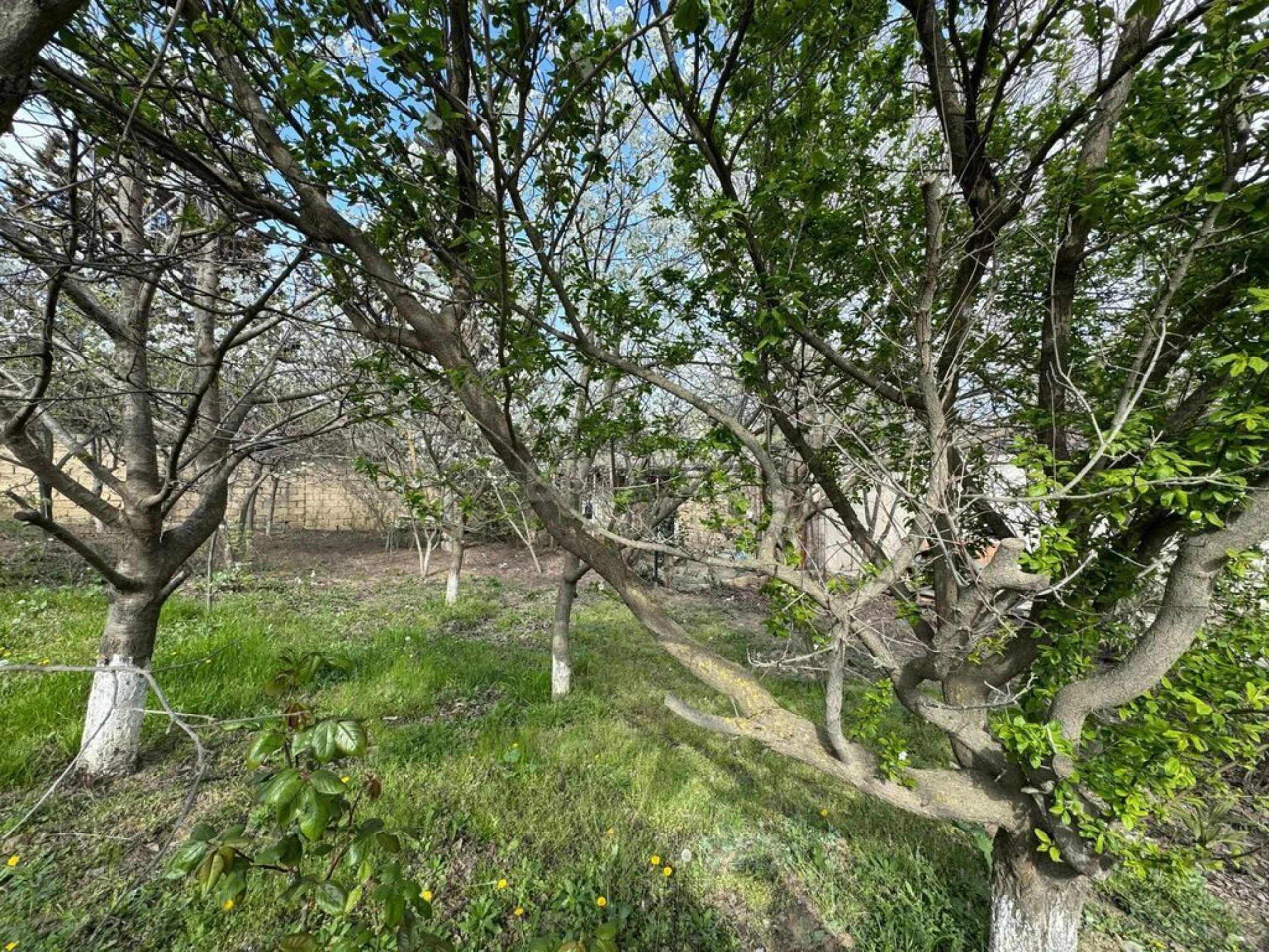 Satılır torpaq sahəsi 40 m²