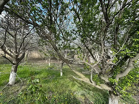 Satılır torpaq sahəsi 40 m² — Bakı, Badamdar 40.00 m²