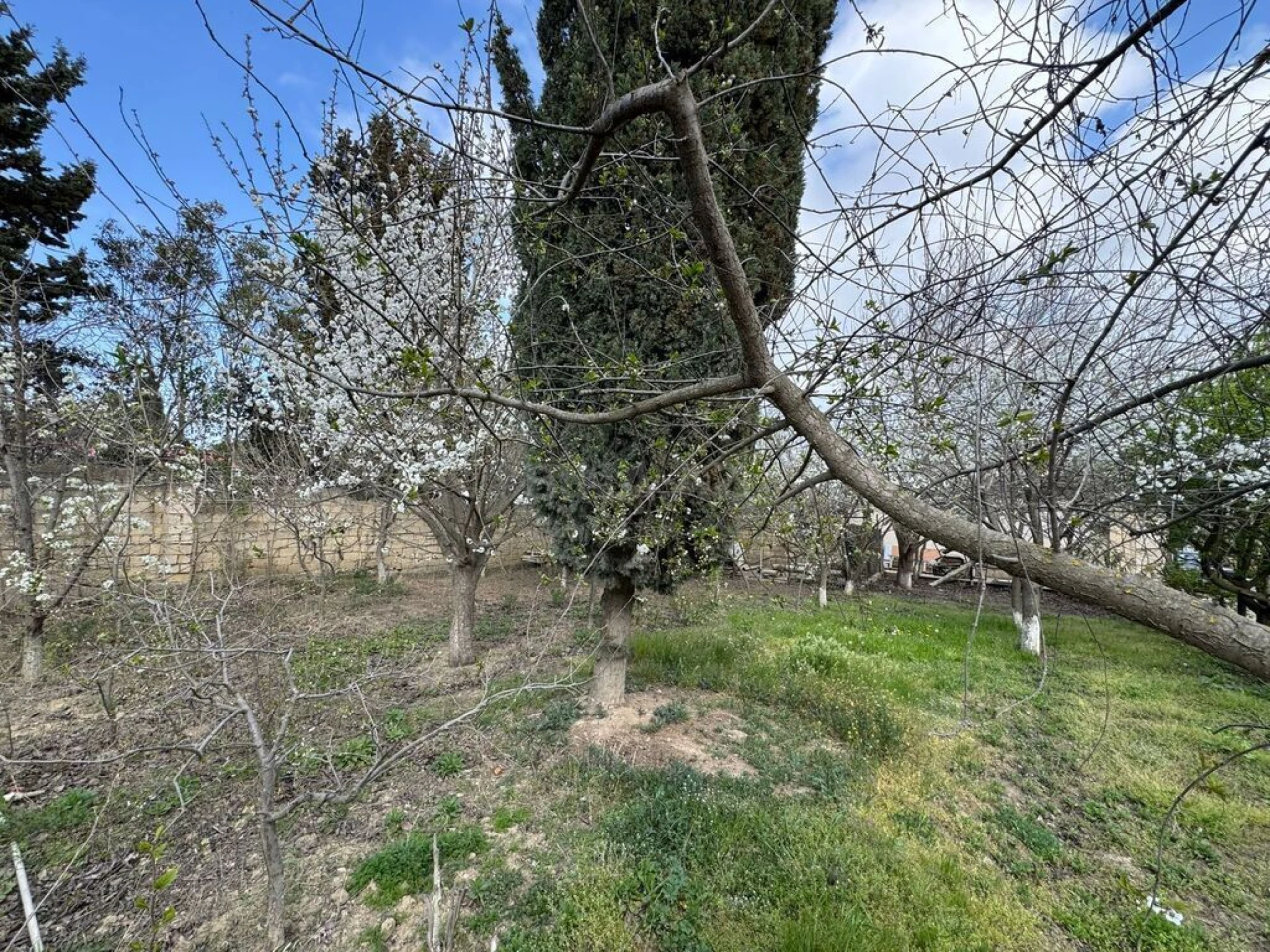 Satılır torpaq sahəsi 40 m²