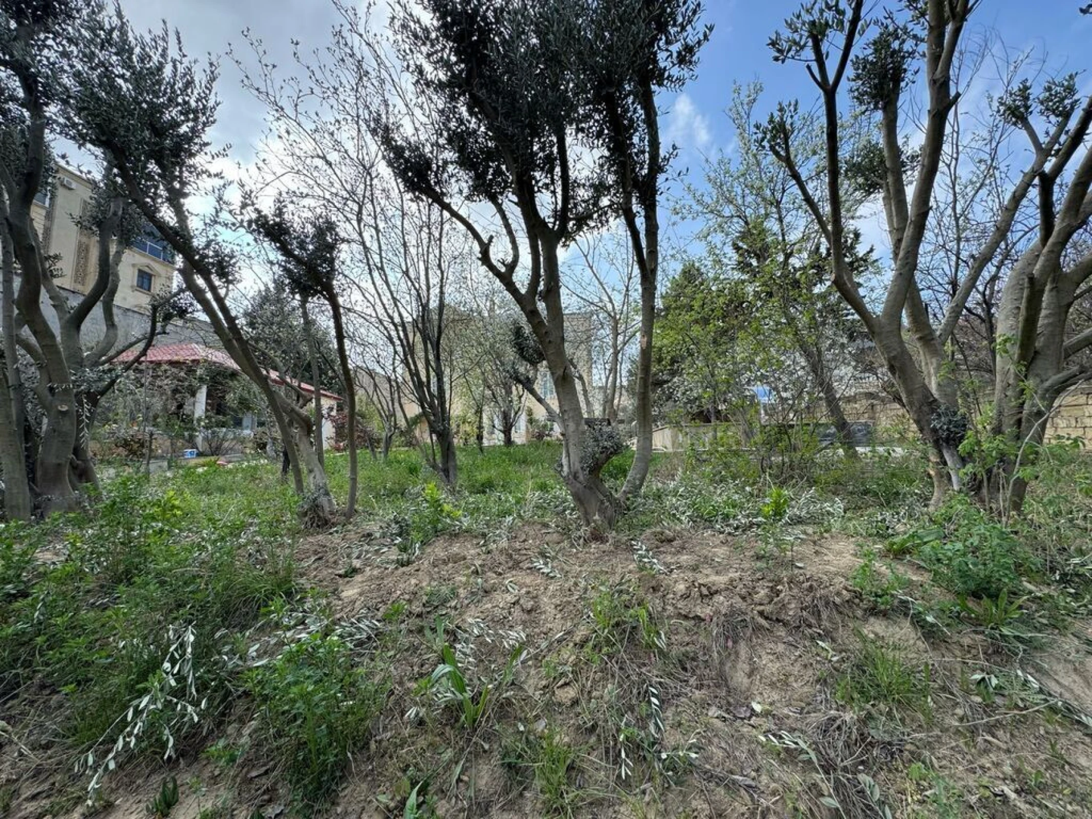 Satılır torpaq sahəsi 40 m²