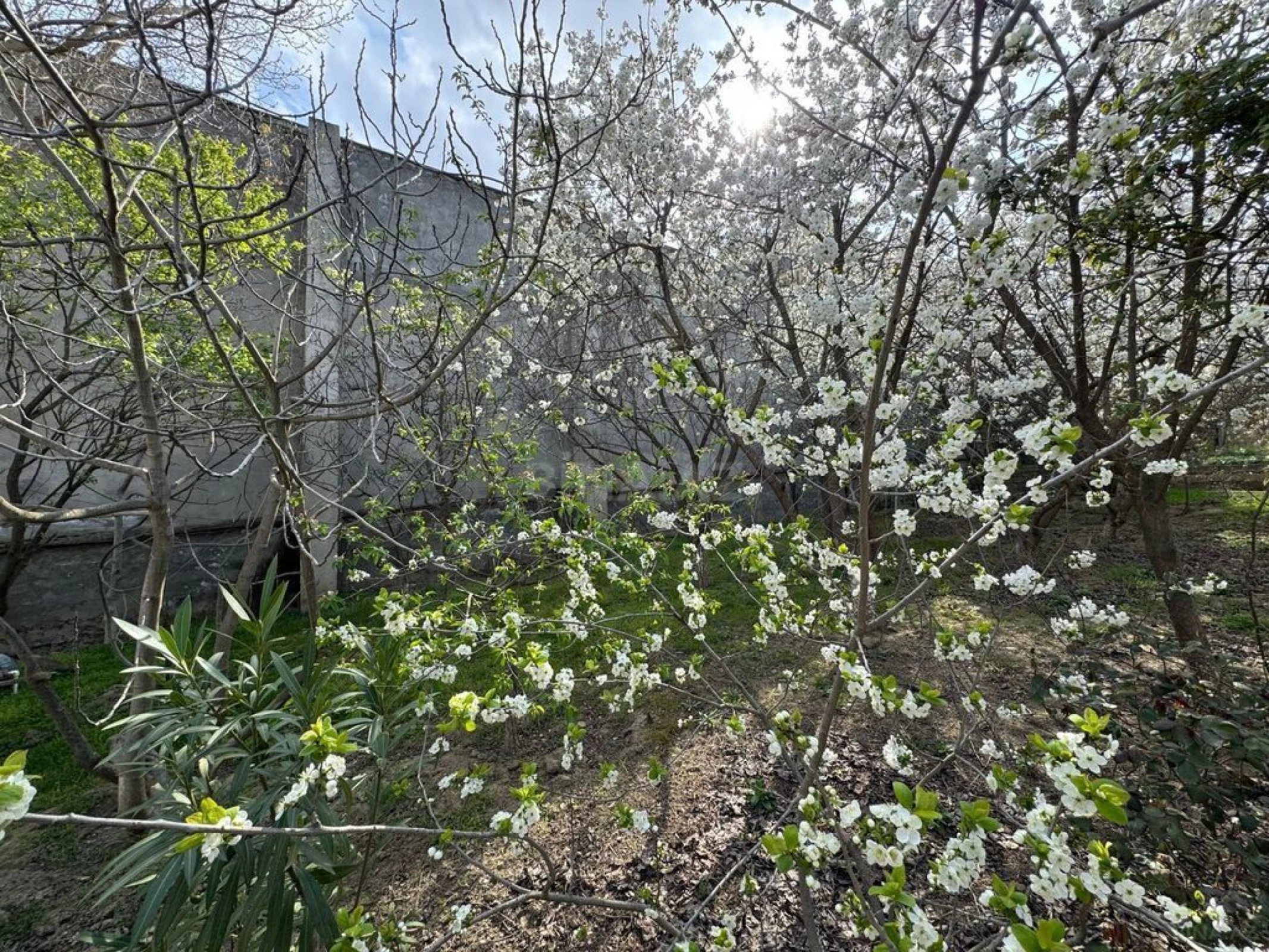 Satılır torpaq sahəsi 95 m²