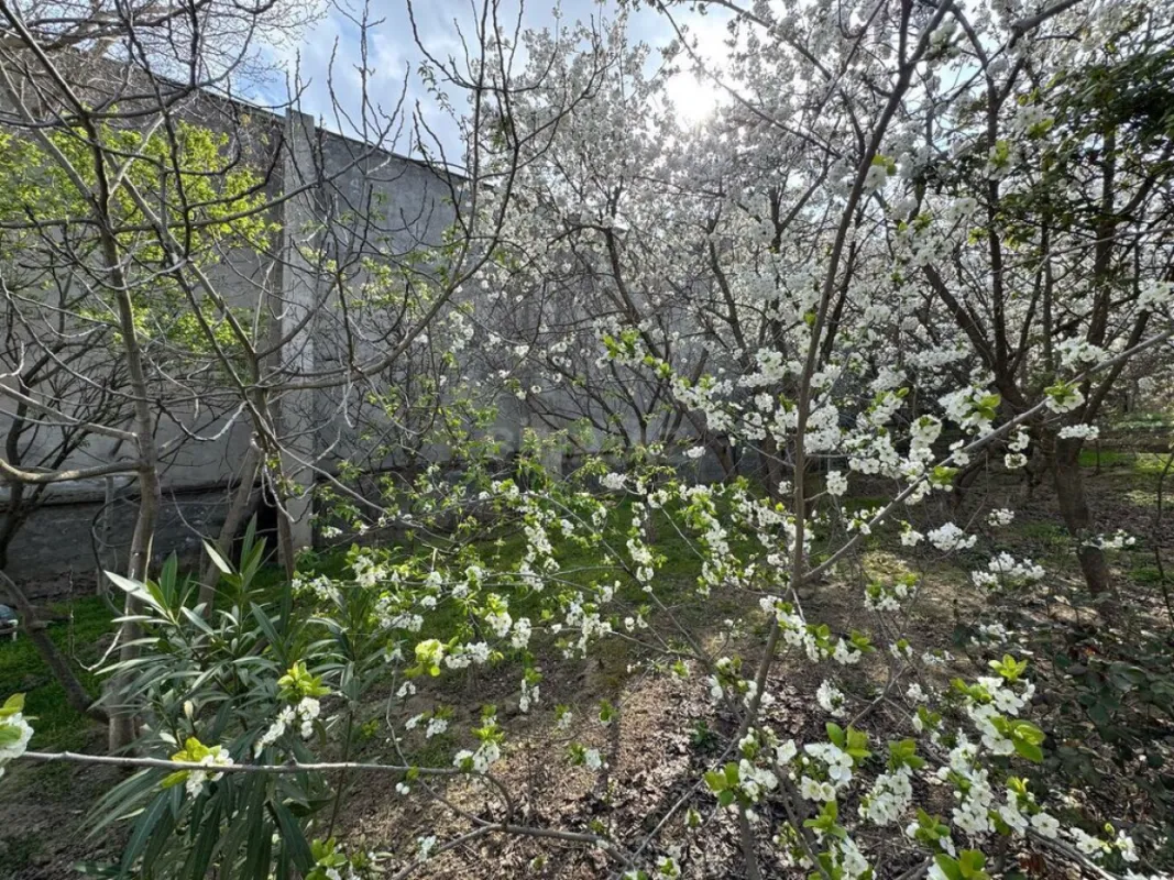 Satılır torpaq sahəsi 95 m²