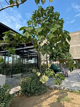 Satılır 14 otaqlı həyət evi 360 m²