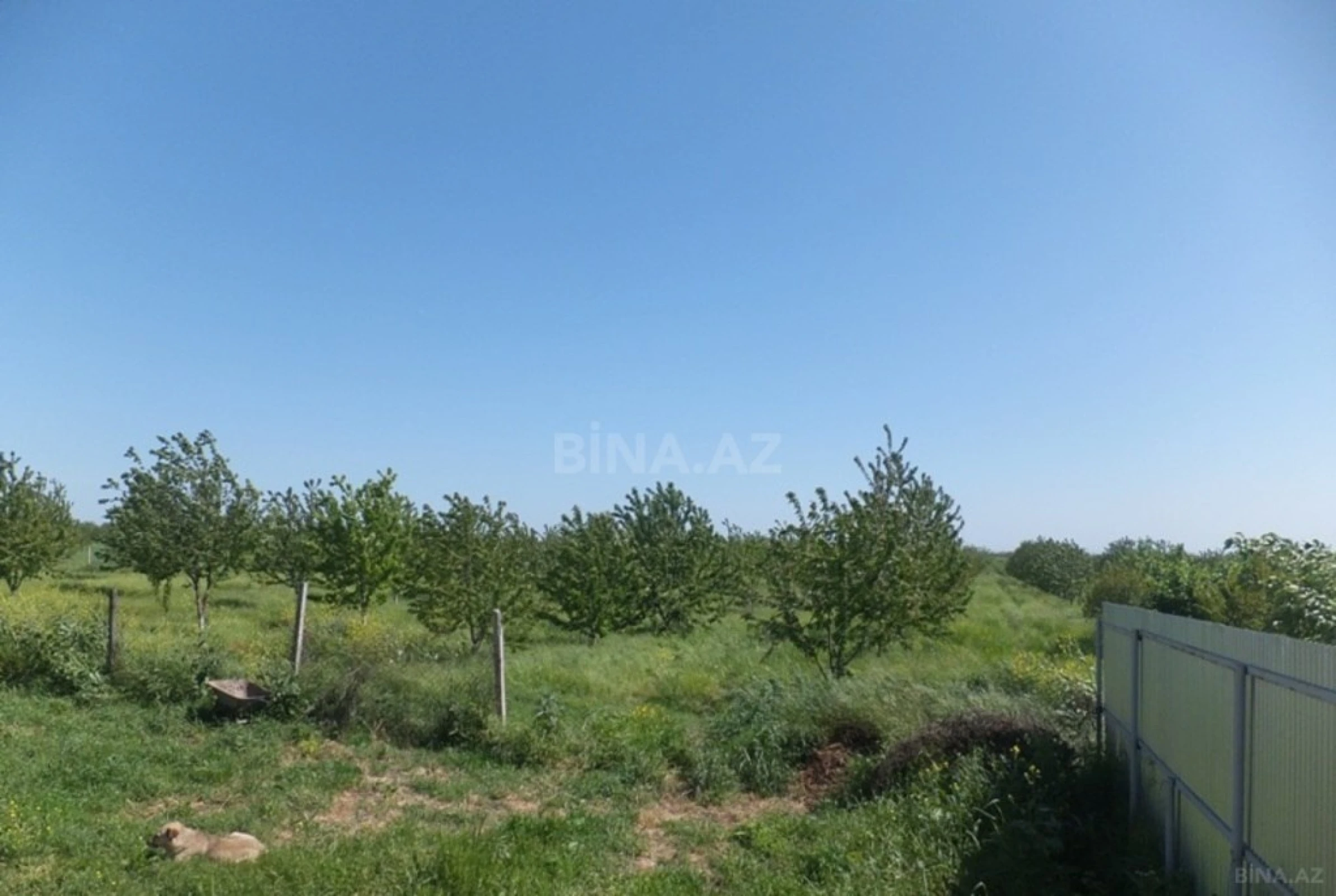 Satılır torpaq sahəsi 316 m²