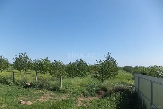 Satılır torpaq sahəsi 316 m² — Quba 316.00 m²