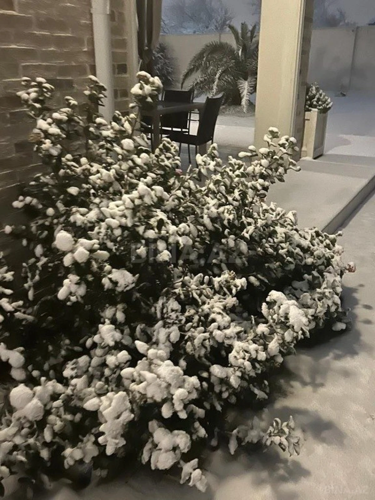 Kirayə verilir 4 otaqlı həyət evi 280 m²