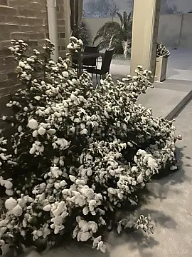 Kirayə verilir 4 otaqlı həyət evi 280 m²