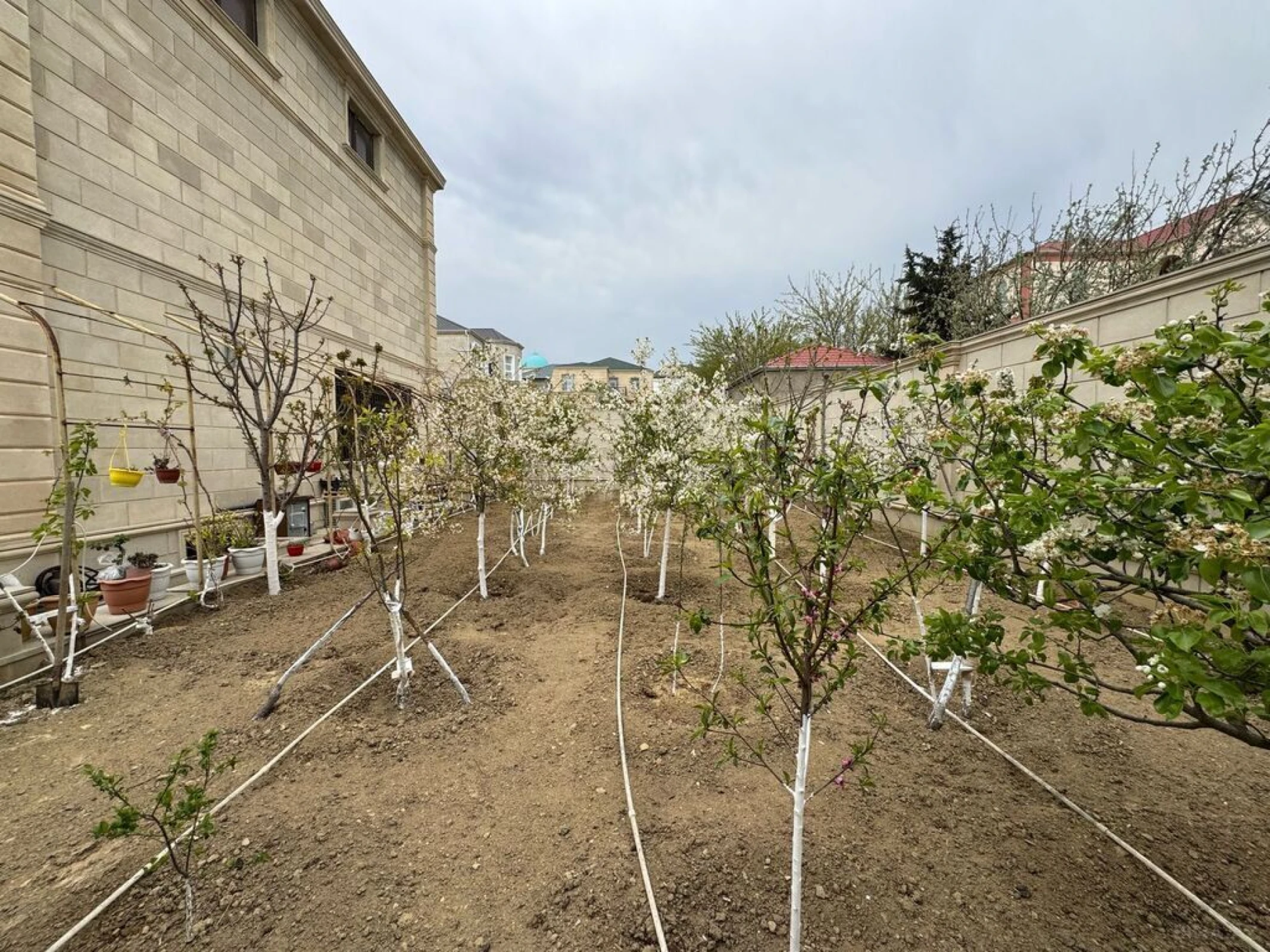 Satılır 9 otaqlı həyət evi 600 m²