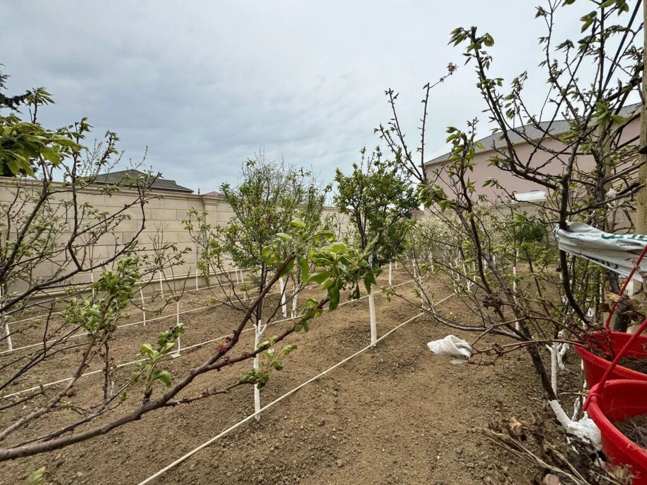 Satılır 9 otaqlı həyət evi 600 m²