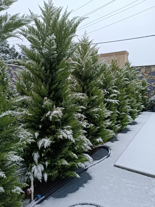 Kirayə verilir 6 otaqlı həyət evi 580 m²