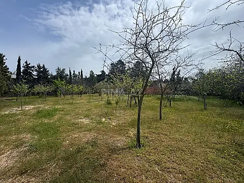 Satılır torpaq sahəsi 25 m²