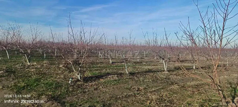 Satılır torpaq sahəsi 2300 m²