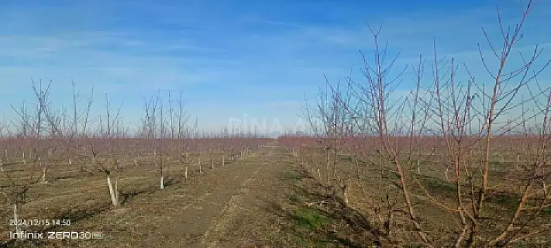 Satılır torpaq sahəsi 2300 m²