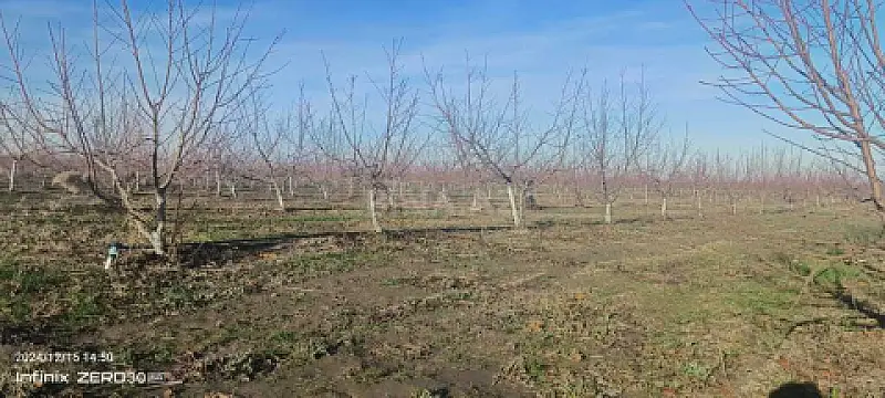 Satılır torpaq sahəsi 2300 m²