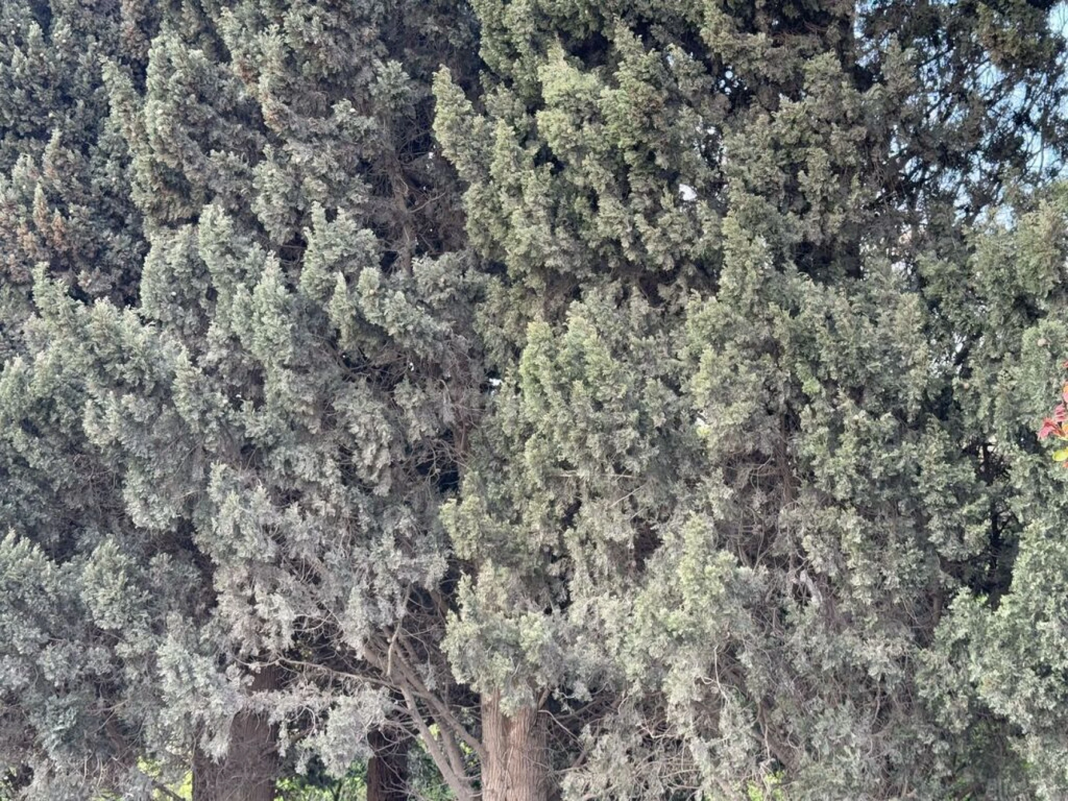 Satılır torpaq sahəsi 12.2 m²