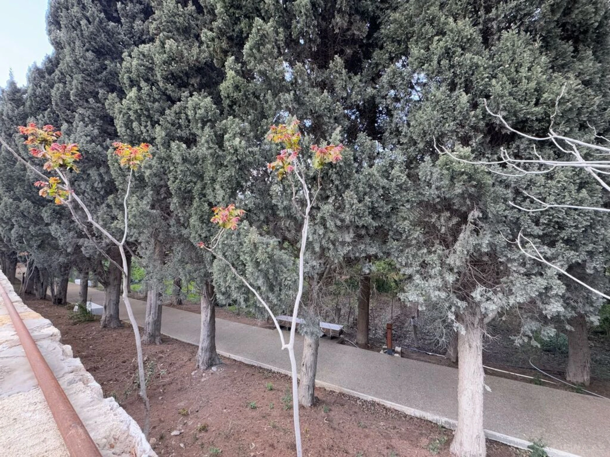 Satılır torpaq sahəsi 12.2 m²