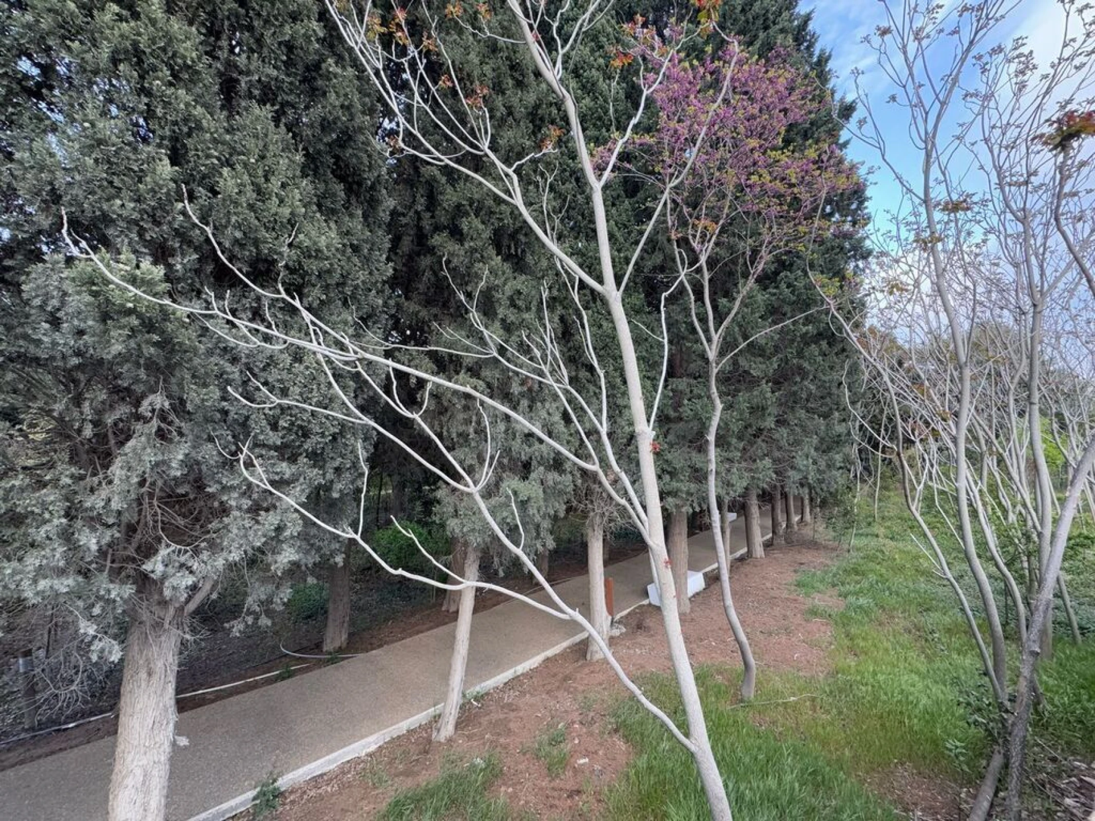 Satılır torpaq sahəsi 12.2 m²