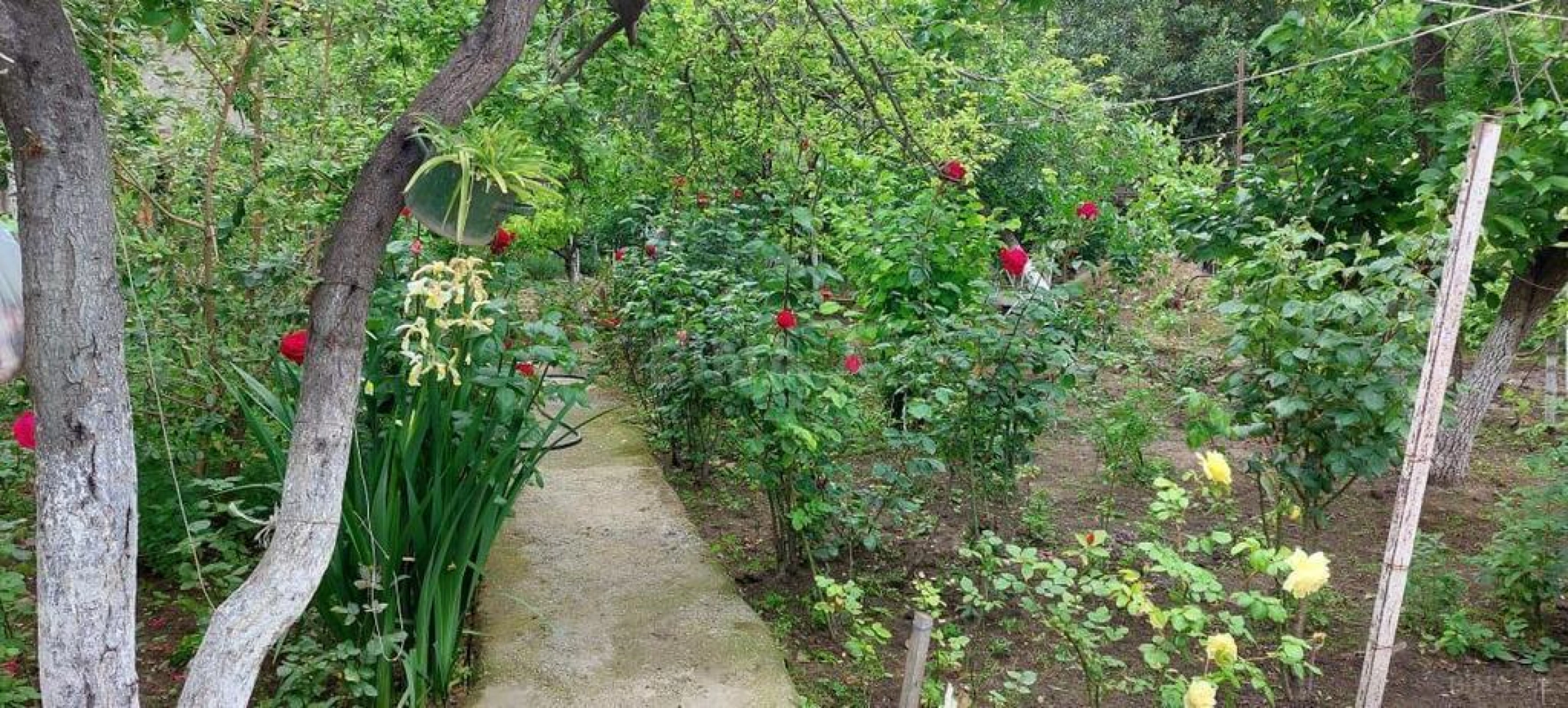 Satılır torpaq sahəsi 8 m²