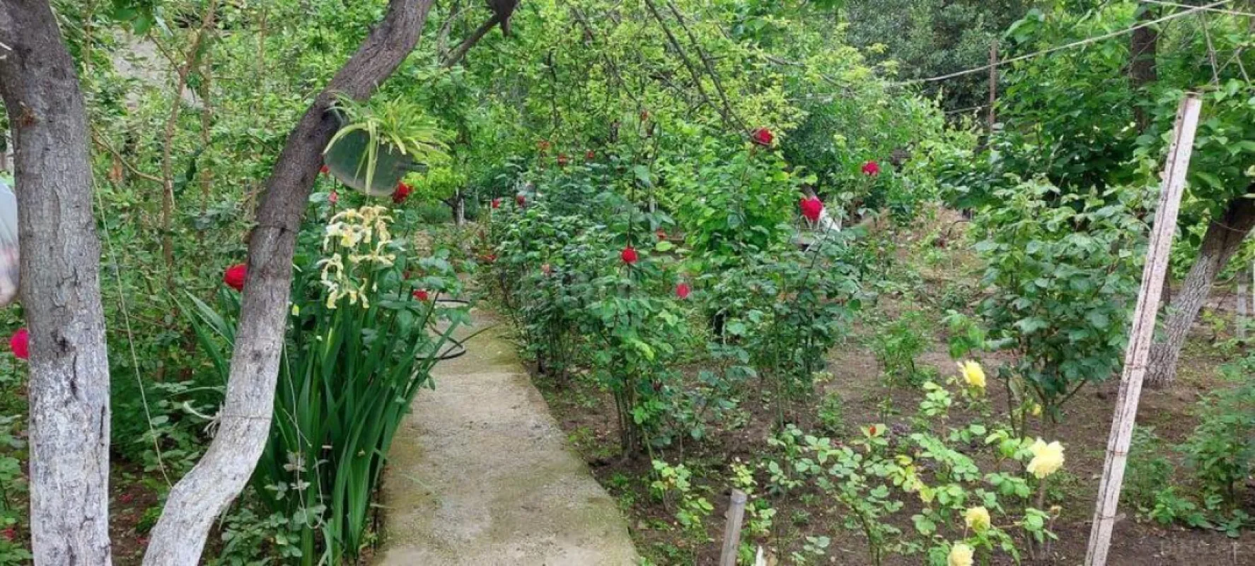 Satılır torpaq sahəsi 8 m²