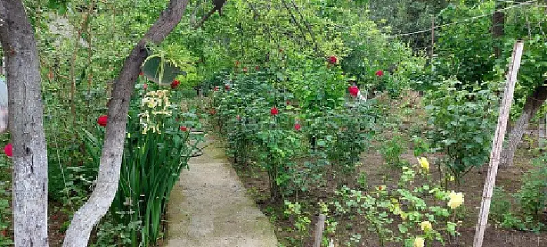 Satılır torpaq sahəsi 8 m²