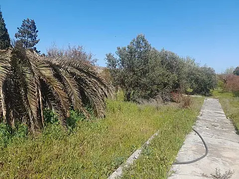 Satılır torpaq sahəsi 37 m² — Bakı, Bilgəh 37.00 m²