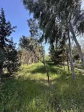 Satılır torpaq sahəsi 11 m²