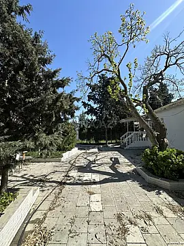 Satılır torpaq sahəsi 11 m² — Bakı, Şüvəlan 11.00 m²