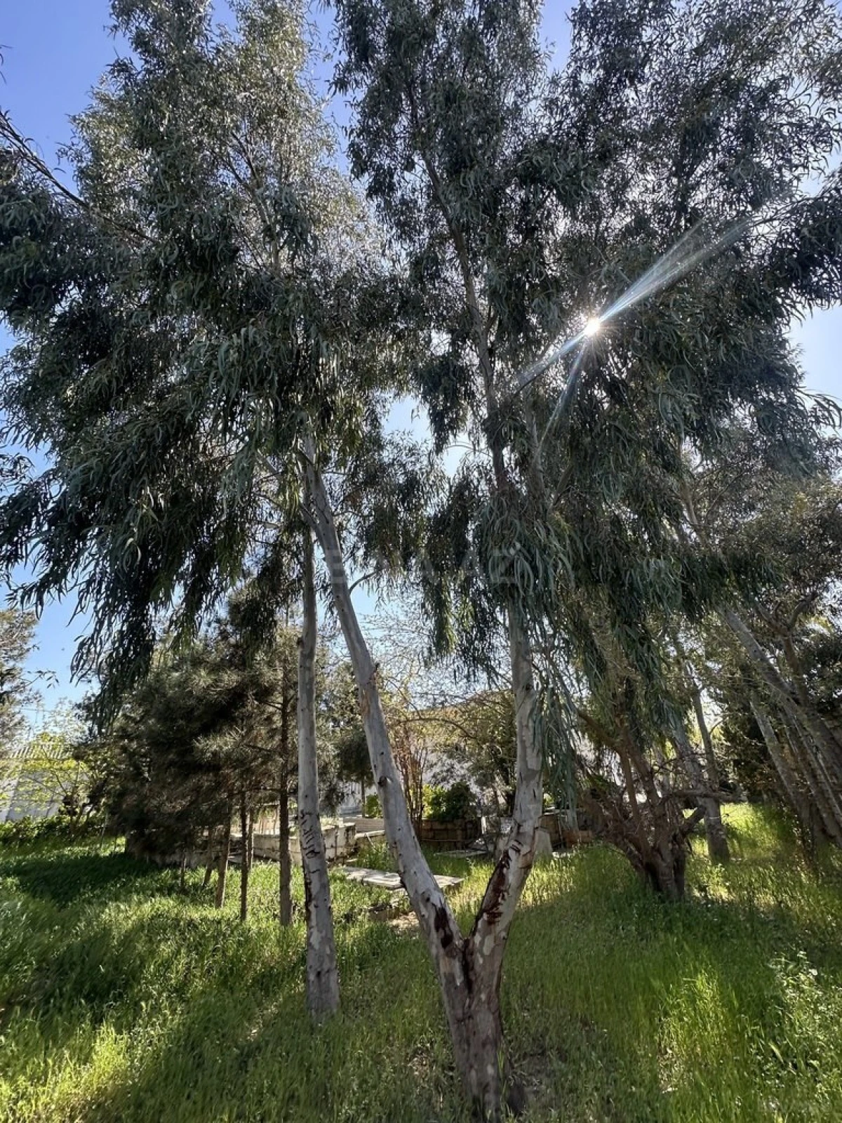 Satılır torpaq sahəsi 11 m²