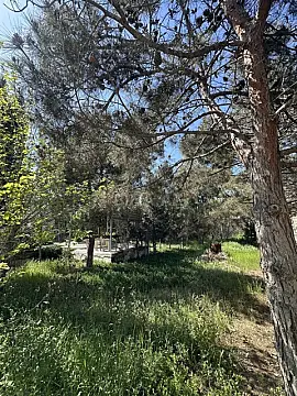 Satılır torpaq sahəsi 11 m²